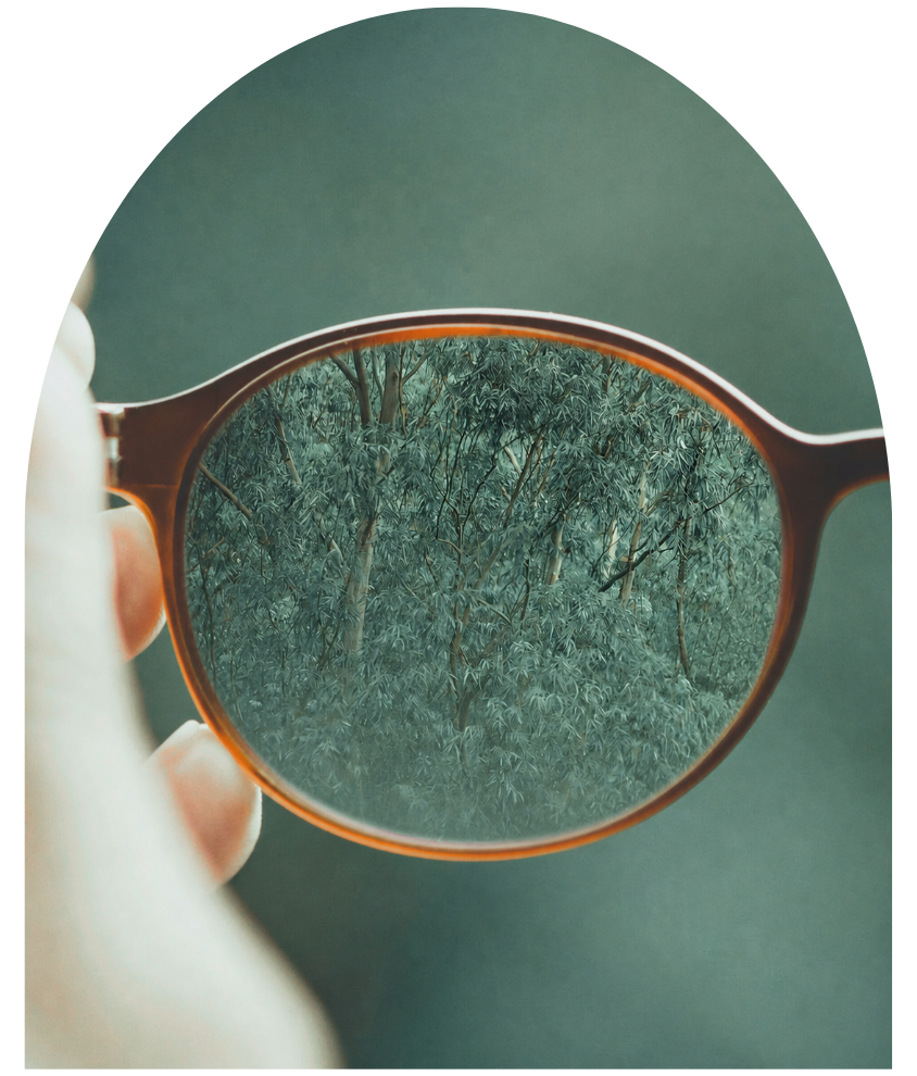 Eine Brille durch die man einen Wald sieht